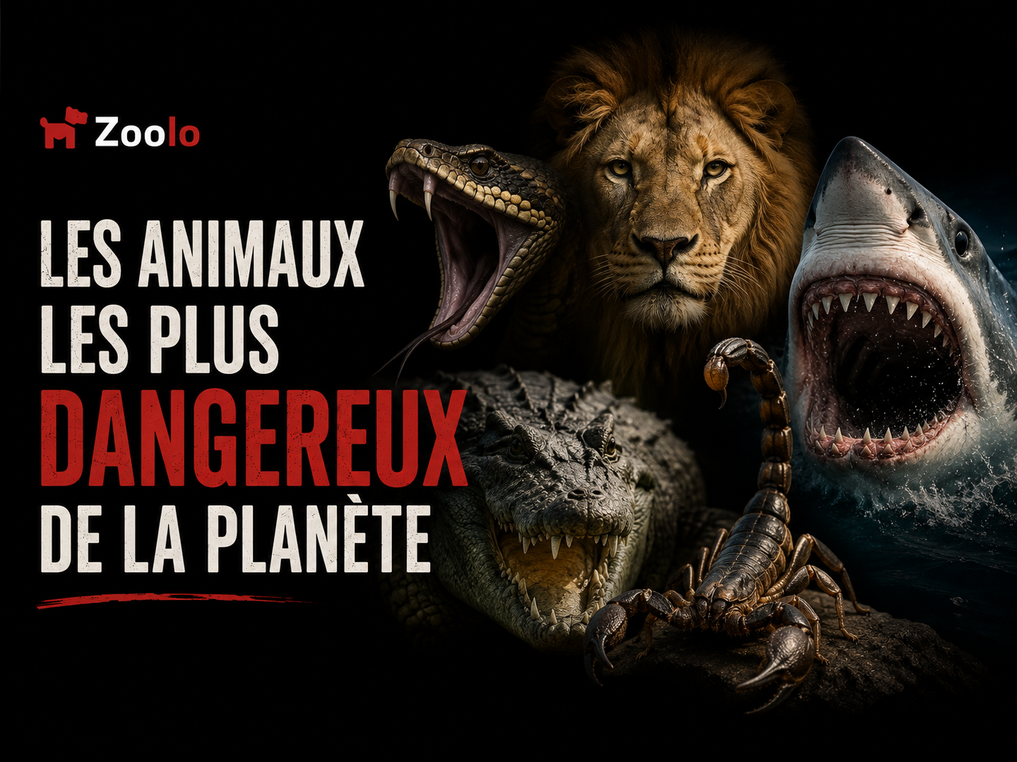 Les animaux les plus dangereux de la planète : Comprendre les menaces pour mieux les protéger