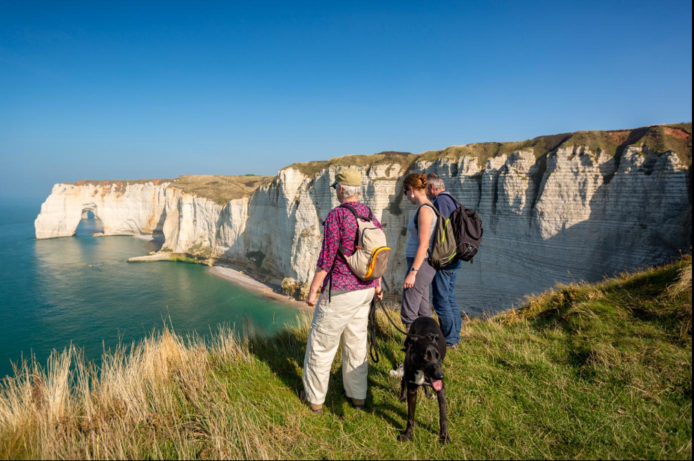 🏖️ Falaises d'Étretat avec un chien