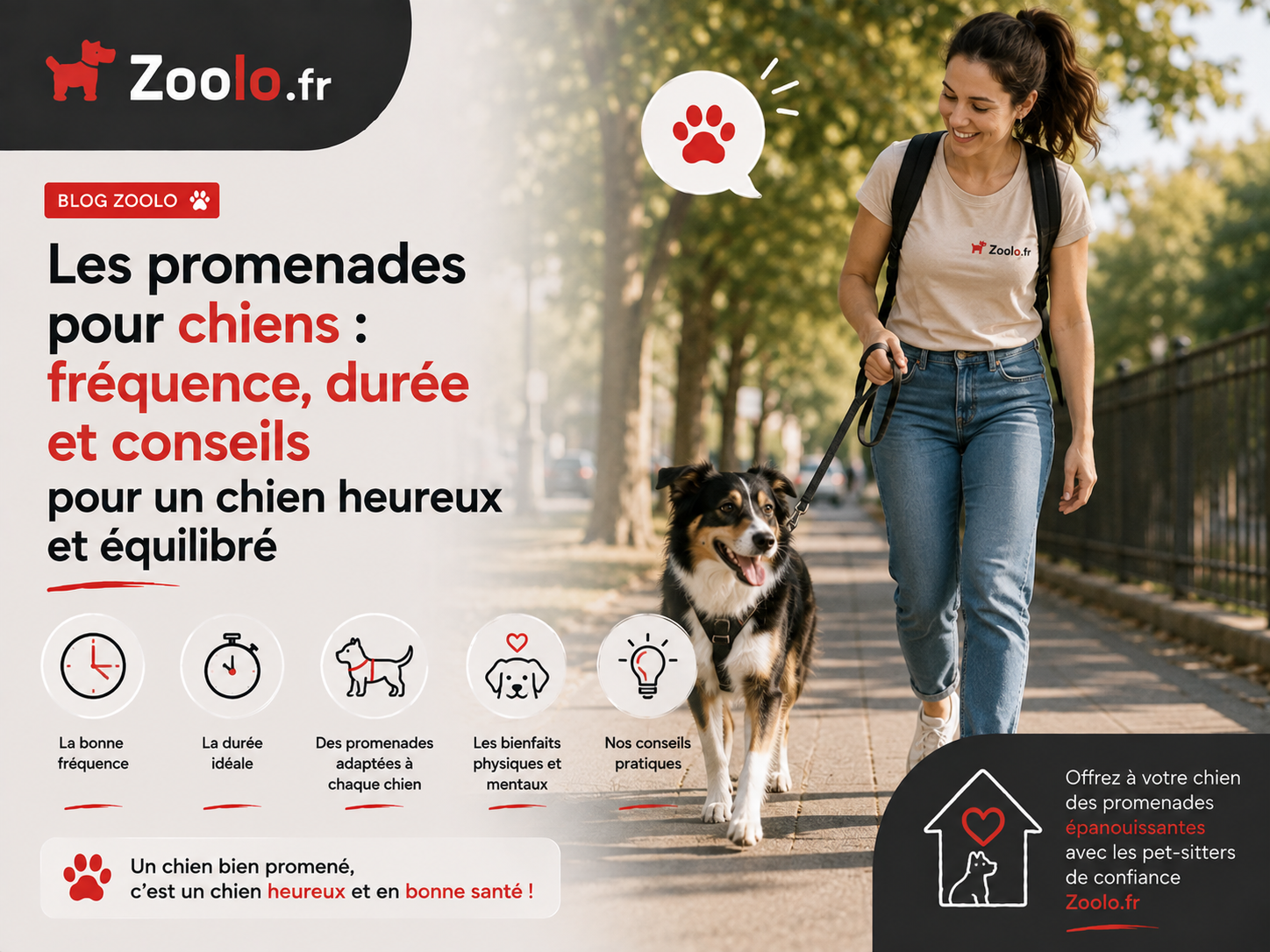 🚶🐾 Les promenades pour chiens : fréquence, durée et conseils pour un chien heureux et équilibré