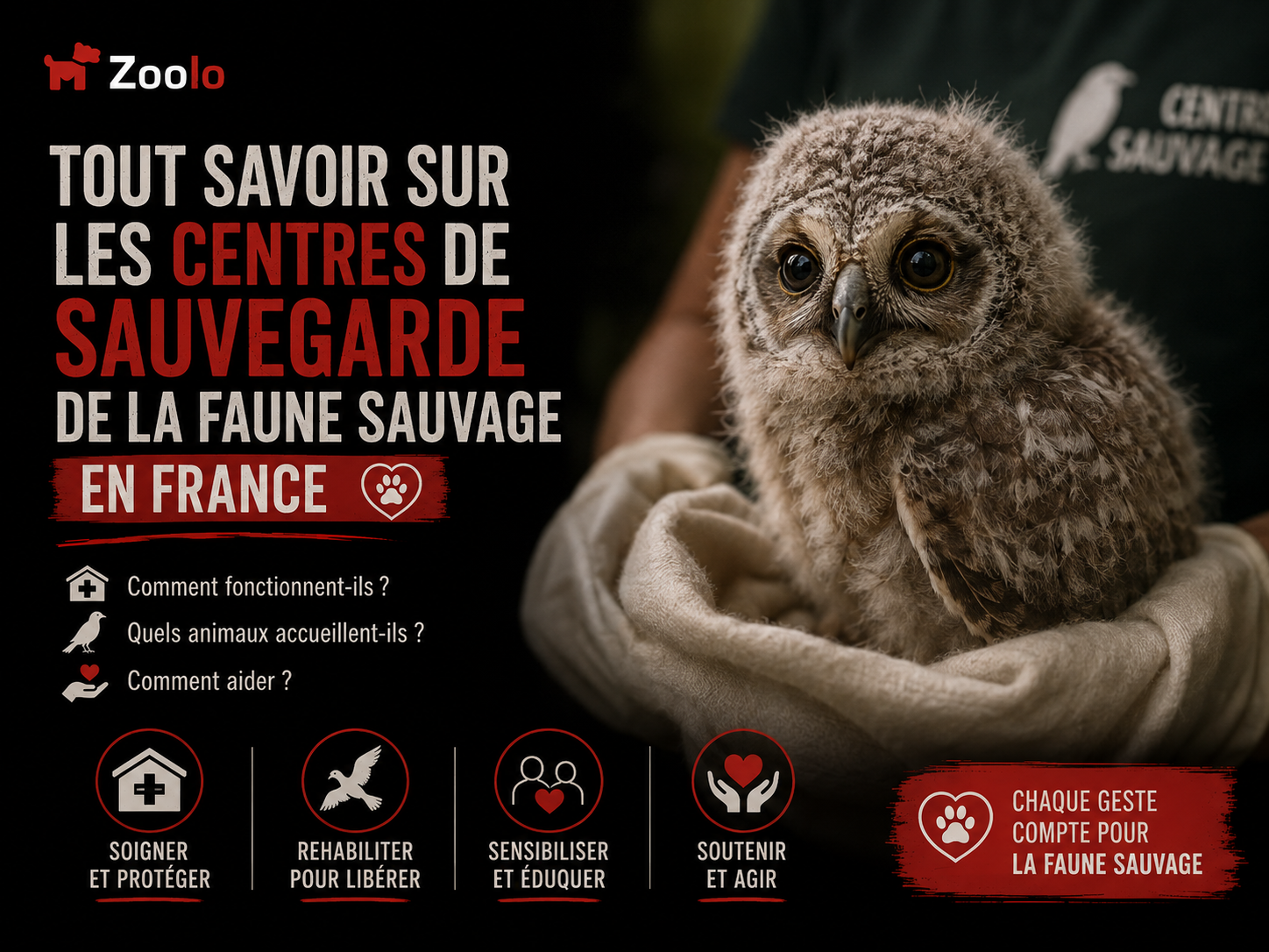 🦜 Tout savoir sur les centres de sauvegarde de la faune sauvage en France