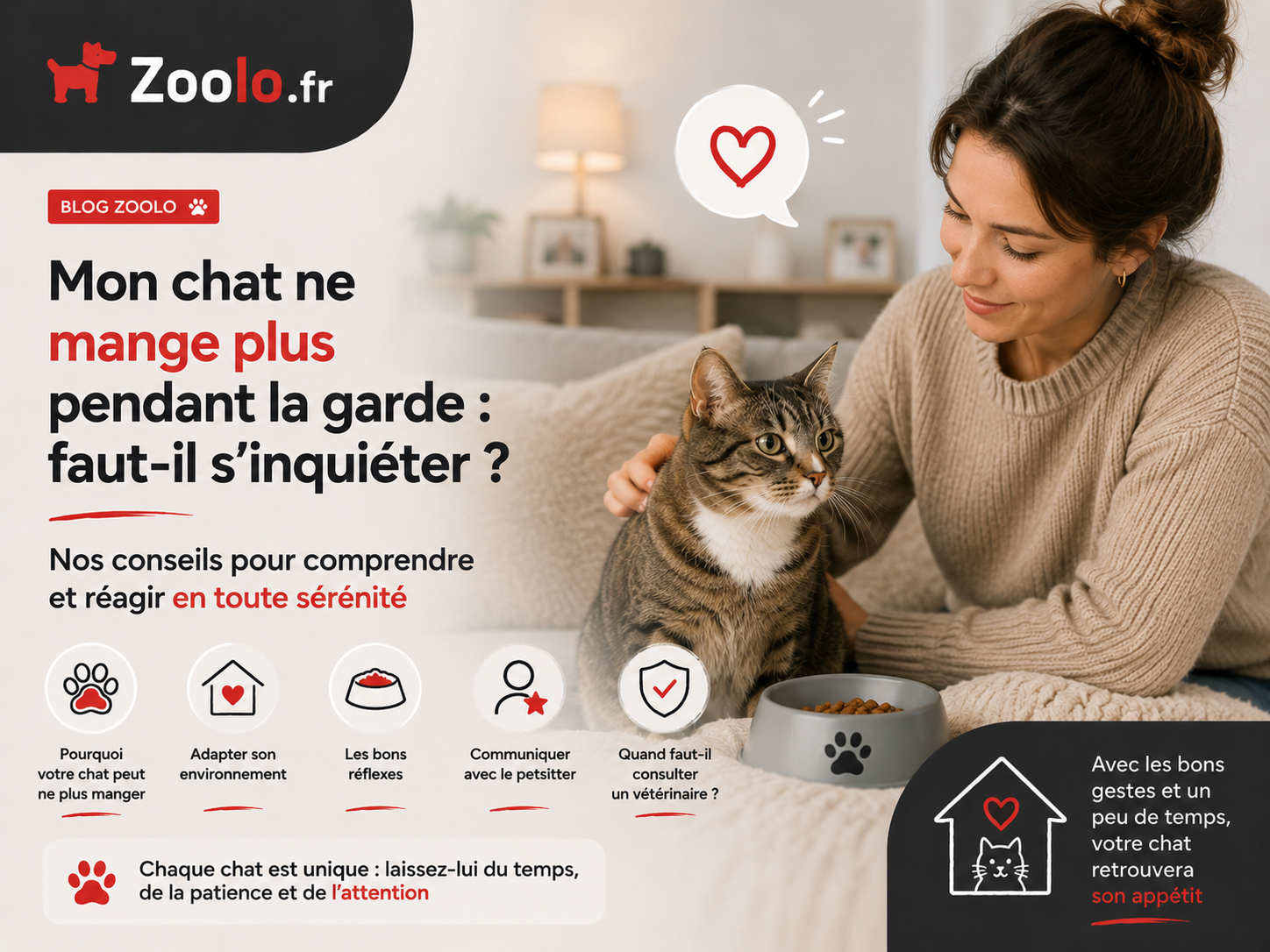 🐱 Mon chat ne mange plus pendant la garde : faut-il s'inquiéter ?