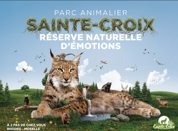 🐺🐾 Parc Animalier de Sainte-Croix avec un chien : faut-il le faire garder ?