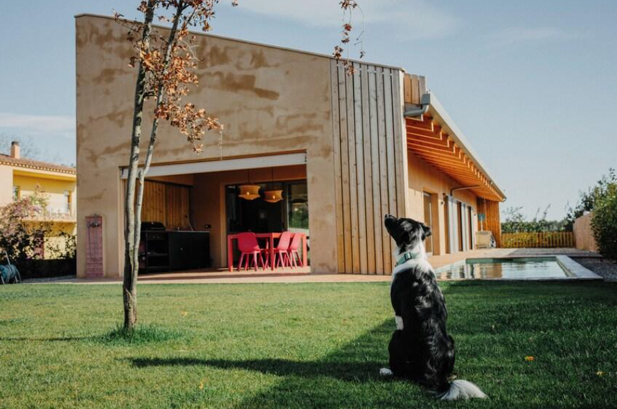 🏡 Airbnb et animaux : ce qu'il faut savoir