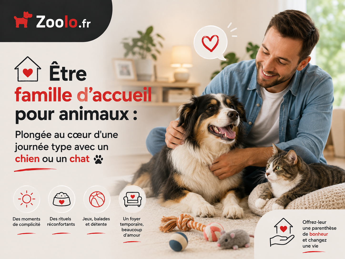 🏡 Être famille d'accueil pour animaux : Plongée au cœur d'une journée type avec un chien ou un chat 🐾