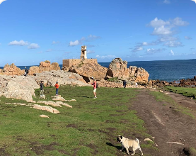🏝️ Île de Bréhat avec un chien