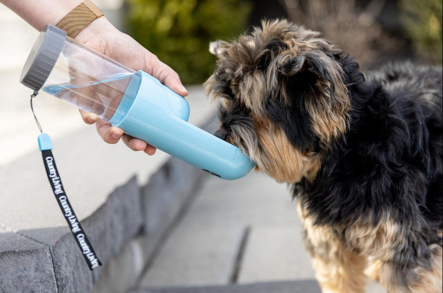 💧 Comment éviter la déshydratation pendant un long trajet