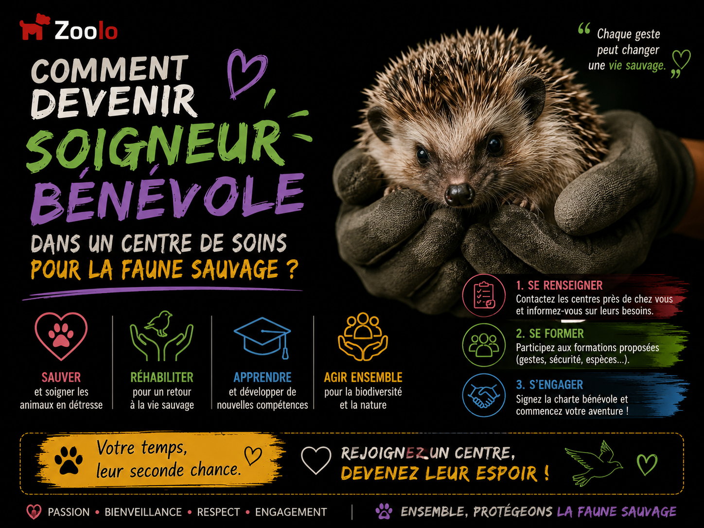 🦔 Comment devenir soigneur bénévole dans un centre de soins pour la faune sauvage ?