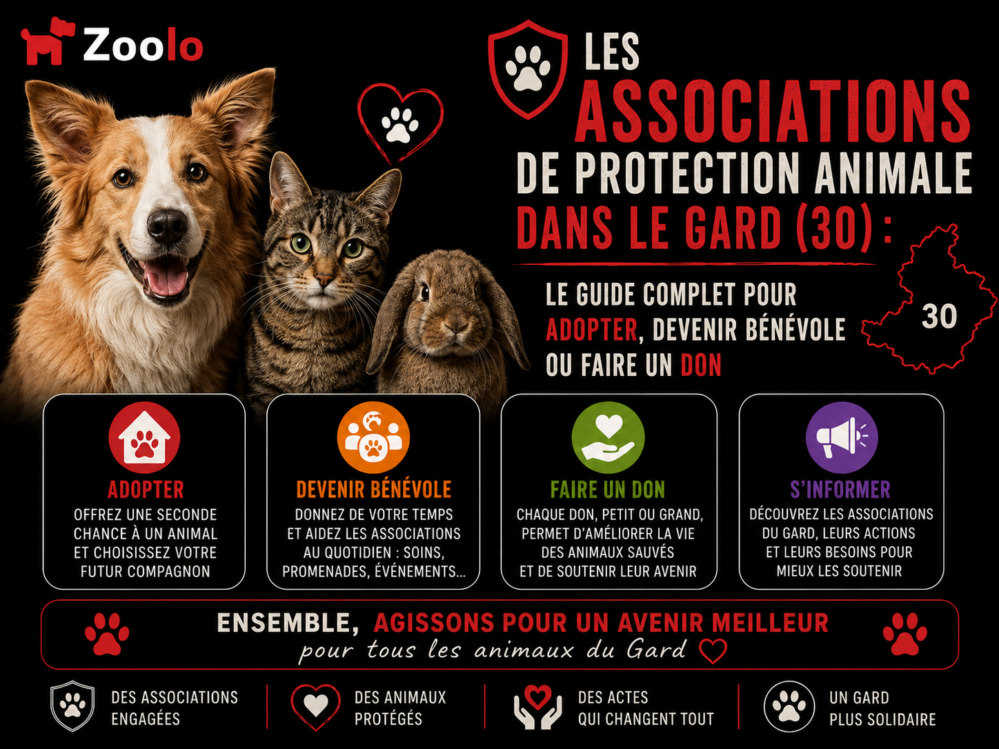🛡️ Les associations de protection animale dans le Gard (30) : le guide complet pour adopter, devenir bénévole ou faire un don