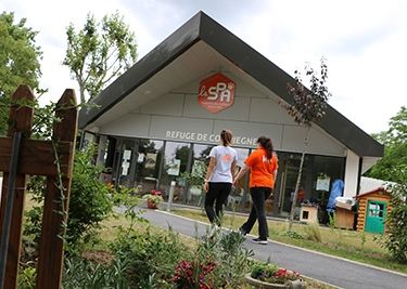🚨 Quel est le rôle de la fourrière animale ?