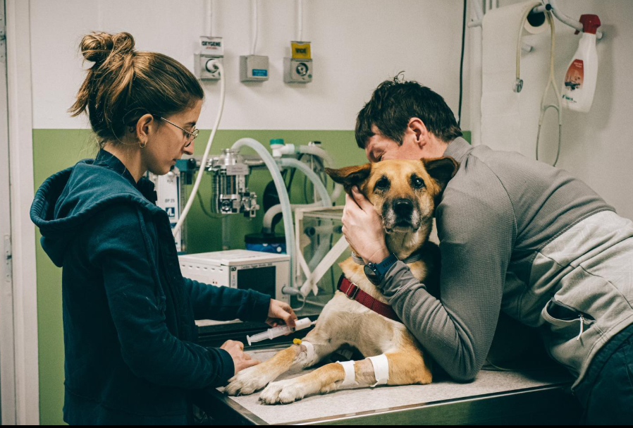🚨 Que faire si son animal tombe malade pendant un voyage ?