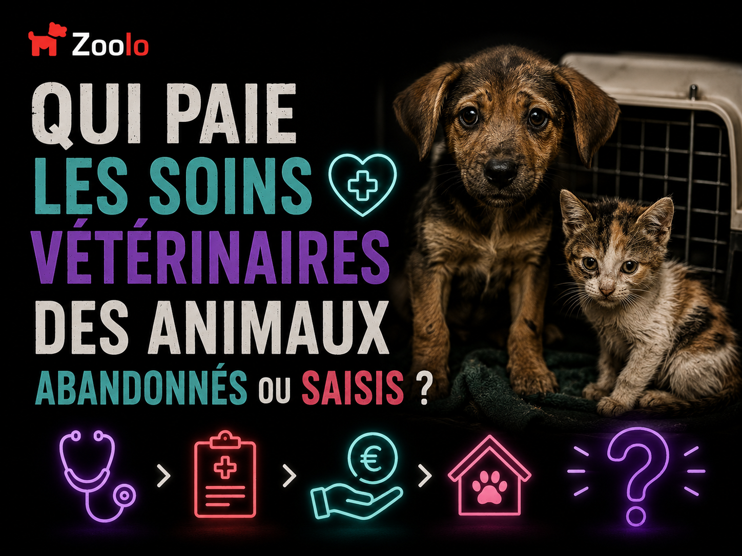 🏥 Qui paie les soins vétérinaires des animaux abandonnés ou saisis ?