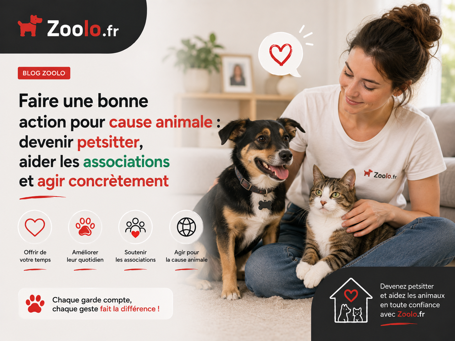 🐾 Faire une bonne action pour la cause animale : devenir petsitter, aider les associations et agir concrètement