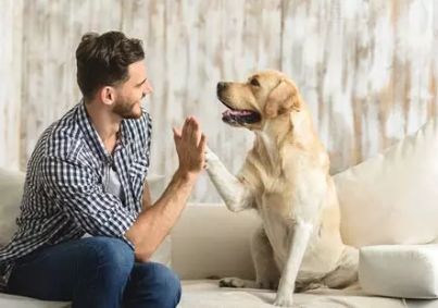 🐾 Combien de temps à l’avance faut-il réserver une garde d’animaux ?