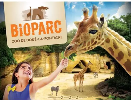 🦒🐾 Bioparc de Doué-la-Fontaine avec un chien : faut-il le faire garder ?