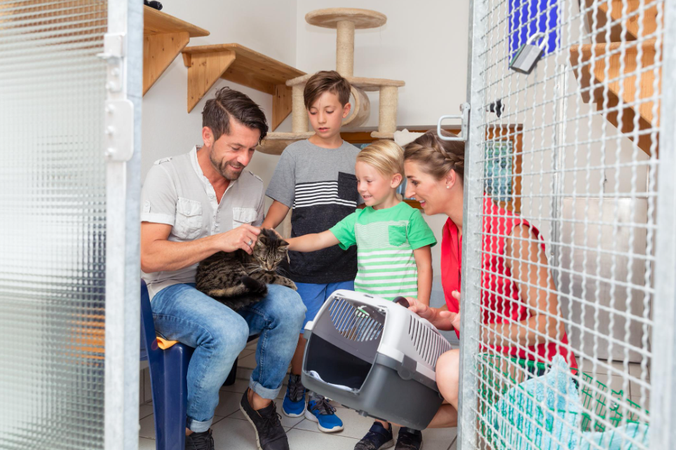 L'adoption impulsive : Pourquoi un quart des Français choisissent leur animal en quelques jours ?