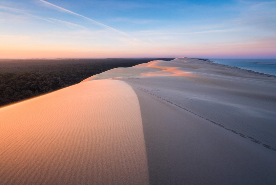 🌊 Dune du Pilat avec un chien