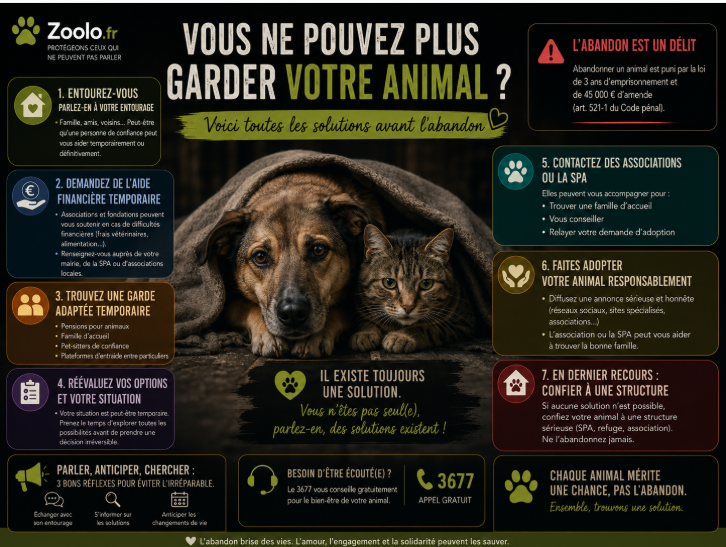 🏡 Vous ne pouvez plus garder votre animal ? Voici toutes les solutions avant l'abandon