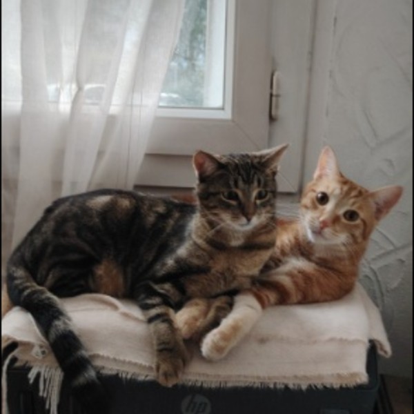 Photo du logement