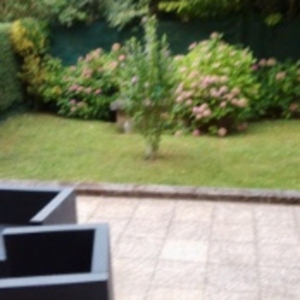 Photo du logement