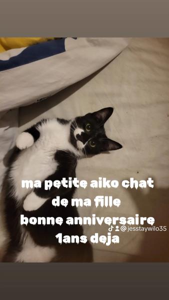 Photo du logement