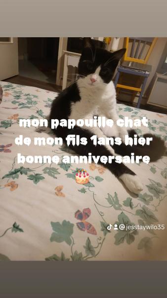 Photo du logement