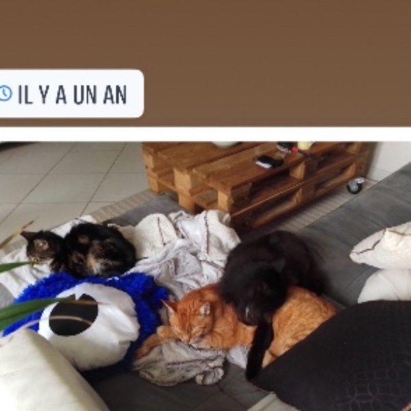 Photo du logement