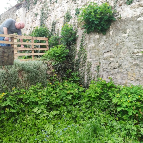 Photo du logement