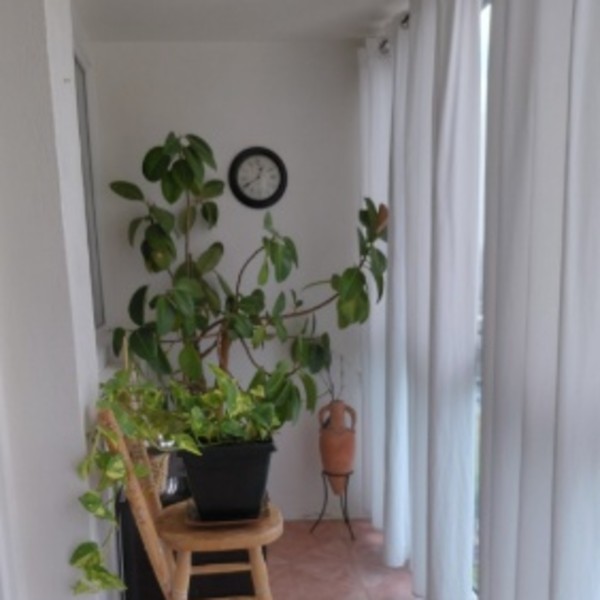 Photo du logement