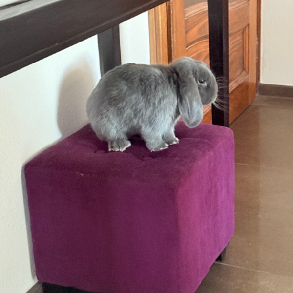 Photo du logement