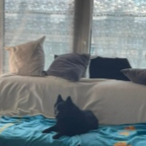 Photo du logement