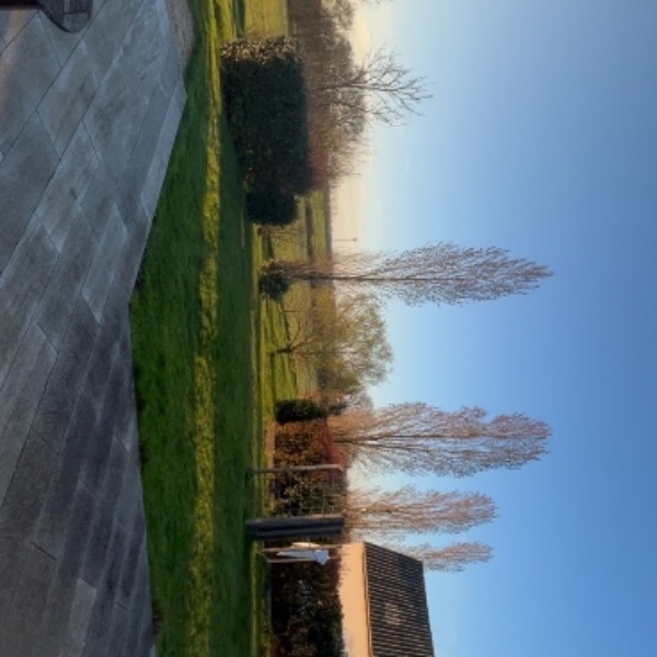 Photo du logement