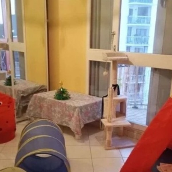 Photo du logement
