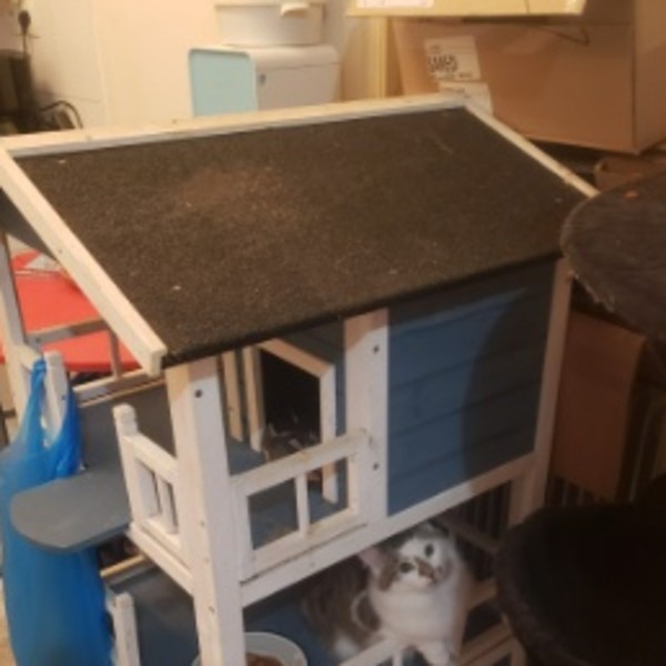 Photo du logement