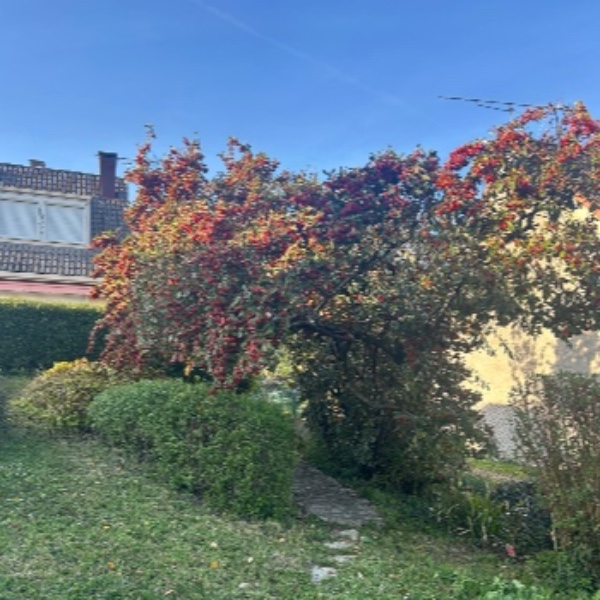 Photo du logement
