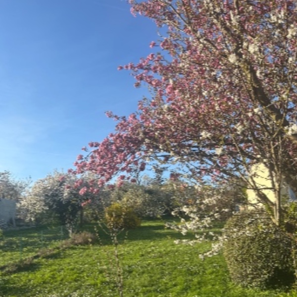 Photo du logement