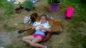 Photo du logement