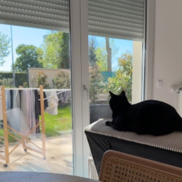 Photo du logement