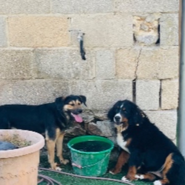 Photo du logement