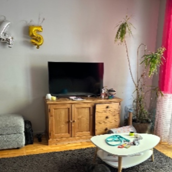 Photo du logement