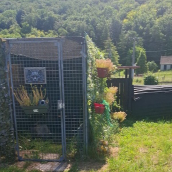 Photo du logement