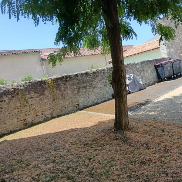 Photo du logement