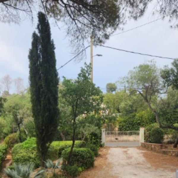 Photo du logement