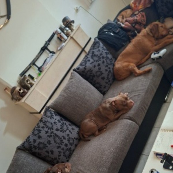 Photo du logement