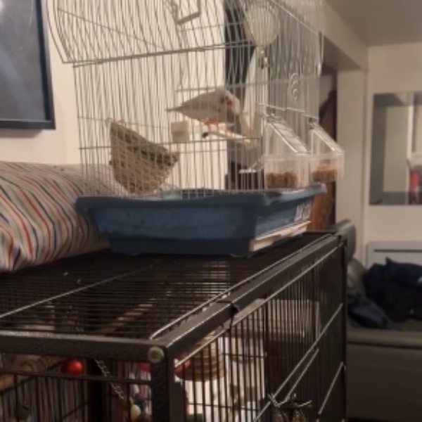 Photo du logement