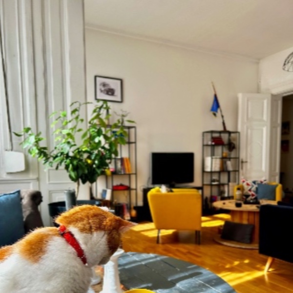 Photo du logement