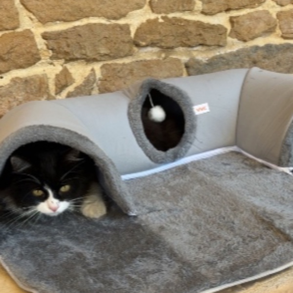 Photo du logement