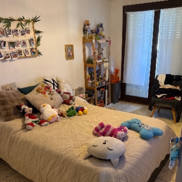 Photo du logement