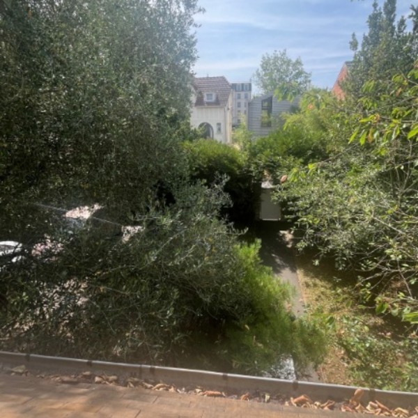 Photo du logement