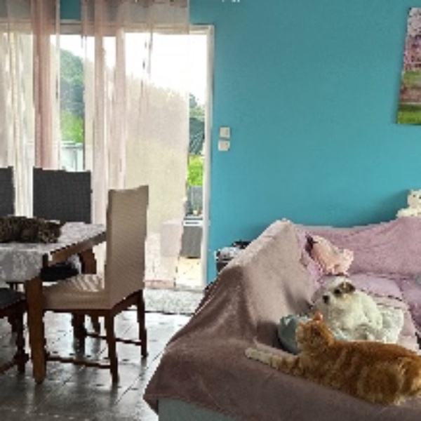 Photo du logement