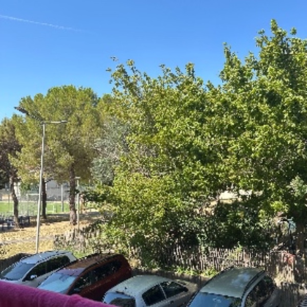 Photo du logement